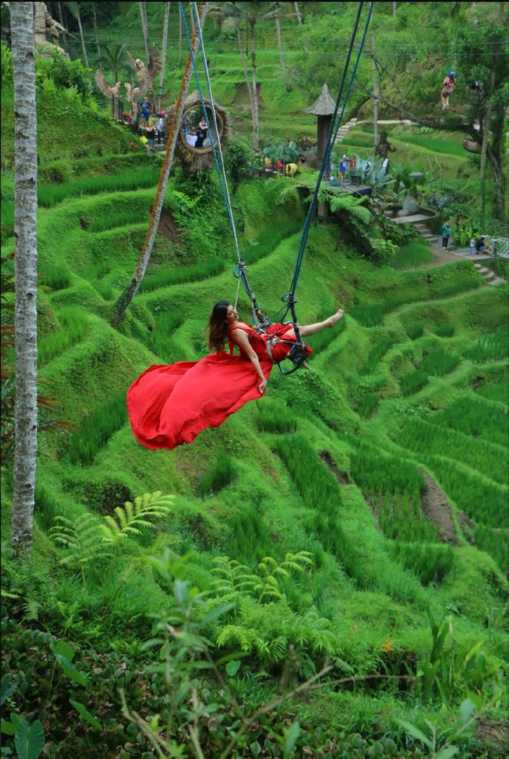 Kanto Lampo хүрхрээ, Bali Swing, Cretya Ubud image 2